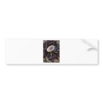 Reaching for the light bumper sticker