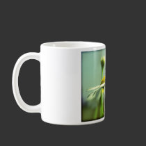 Reaching for the light mugs