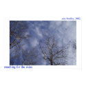 reaching for the skies posters
