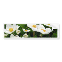 Reaching for the sky bumper stickers