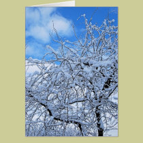 Reaching for the Sky cards