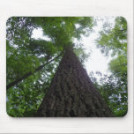 Reaching for the Sky mousepads