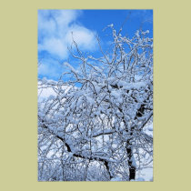 Reaching for the Sky posters