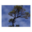 Reaching For The Sky posters by Guiltypleasures Reaching For The Sky posters