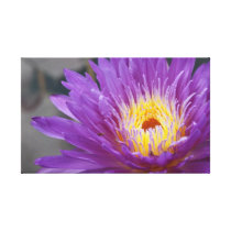 Reaching for the Sun canvas prints