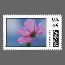 Reaching for the Sun postage
