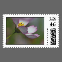 Reaching for the Sun... postage