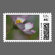 Reaching for the Sun... postage