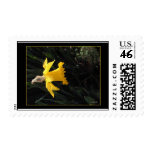 Reaching For The Sun postage