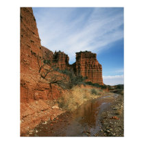Reaching for Water posters by gust_front Reaching for Water posters