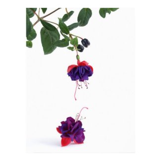 Reaching Out print