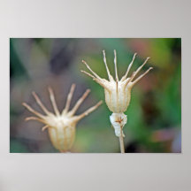 Reaching Posters
