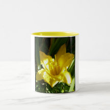 Reaching Up Coffee Cup Mugs