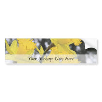 Reaching Upwards - Yellow Daffodils Bumper Stickers