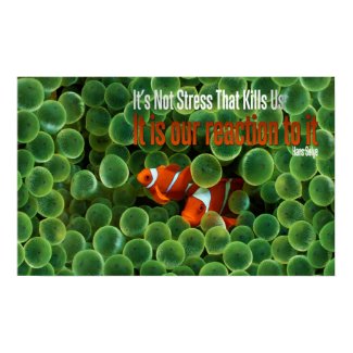 Reaction to Stress Motivational Poster print