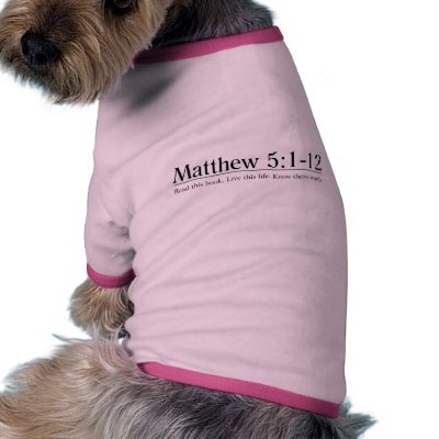 Bible Matthew 5