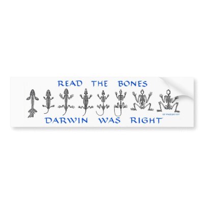 Read The Bones, Darwin Was Right Bumper Stickers
