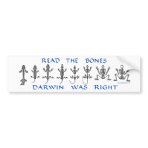 Read The Bones, Darwin Was Right bumper stickers