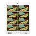 Full Sheet