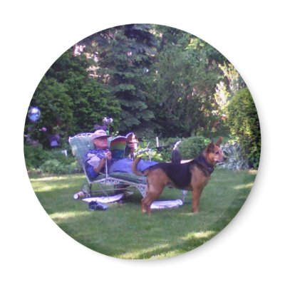 Reading in the Afternoon Magnet by skywatcher