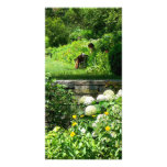 Reading in the Garden Photo Greeting Card