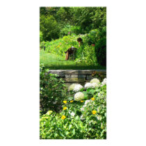 Reading in the Garden Photo Greeting Card