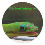 Reading Reptile This Book Belongs To stickers