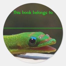 Reading Reptile This Book Belongs To Round Stickers