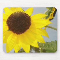READREAMING SUNSHINE mousepads
