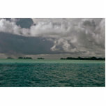 Ready For A Storm Photo Cut Outs