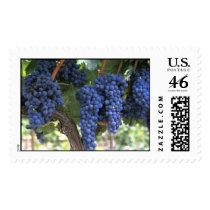Ready for Harvest Postage