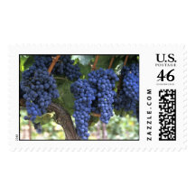 Ready for Harvest Postage