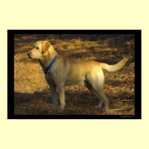 Ready for hunting posters
