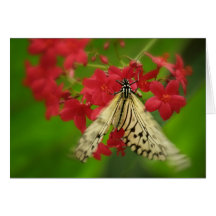 Ready for Liftoff Greeting Card