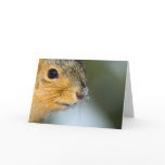 Ready for Spring Cards