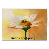 Ready For Spring!! cards