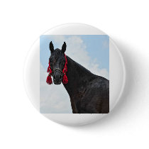 Ready for the show button