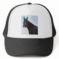 Ready for the show hat