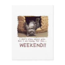 ready for the weekend kitten postcards by Ceyzpurplestang ready for the weekend kitten postcards