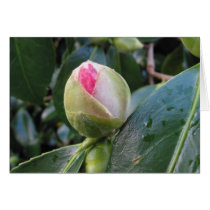 Ready to Bloom cards by wander1 Ready to Bloom cards
