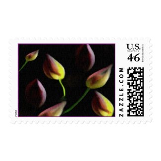 Ready to Bloom Postage