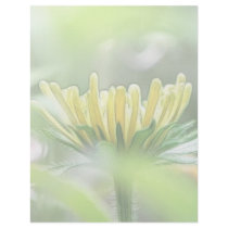 Ready To Bloom - Rudbeckia Letterhead Design