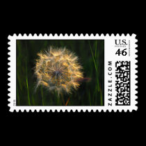 Ready to fly stamps