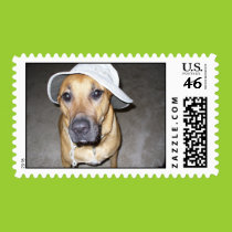 Ready to go fishing postage stamps