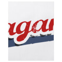 Reagan Team flyers