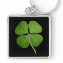 Real 4 Leaf Clover Shamrock Black Key Chains