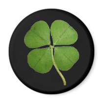 Real 4 Leaf Clover Shamrock Black Fridge Magnet