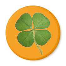 Real 4 Leaf Clover Shamrock Orange Fridge Magnet