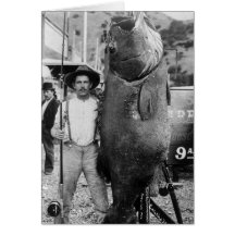 Real Big Fish, early 1900s Card