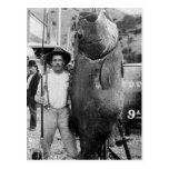 Real Big Fish, early 1900s Postcards